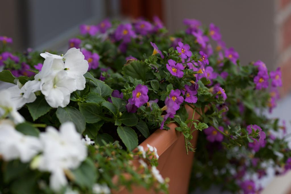 Guest house Marbella